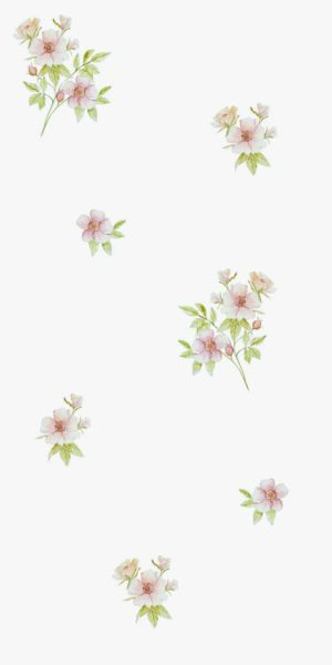 Papel pintado romántico de rosas color té - en rollo