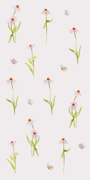 Papel pintado flores de equinácea - en rollo