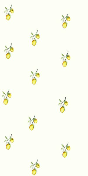 Papel pintado de limones - en rollo
