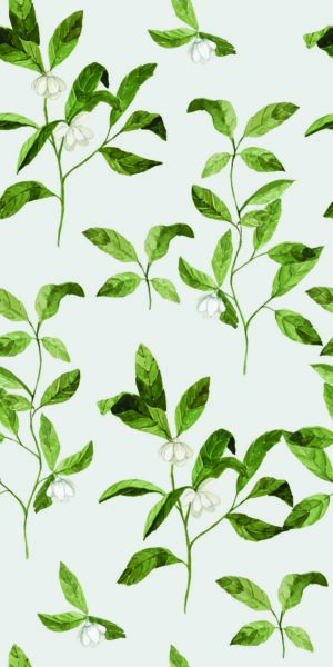 Papel tapiz con flores de magnolia pequeñas - en rollo